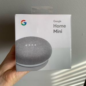 google home mini (chalk)
